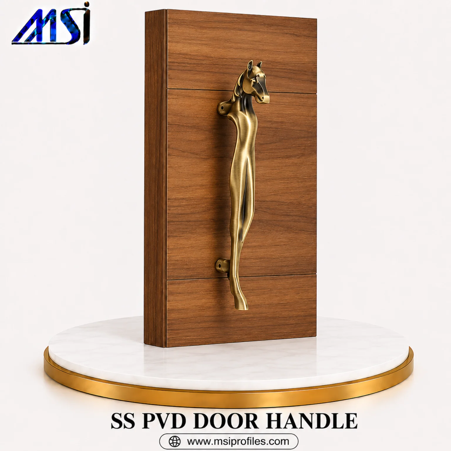 SS PVD Door Handle (1)