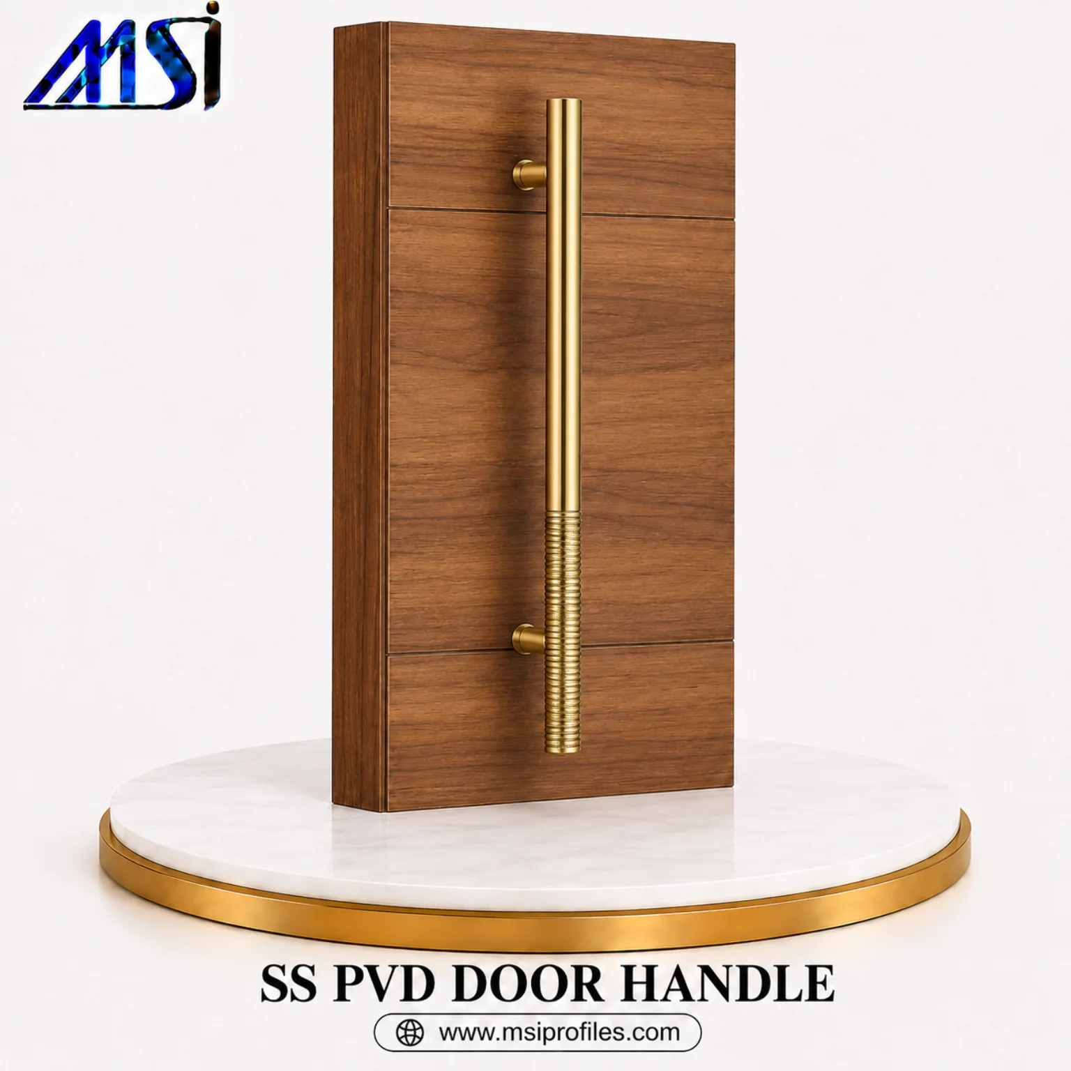 SS PVD Door Handle (3)