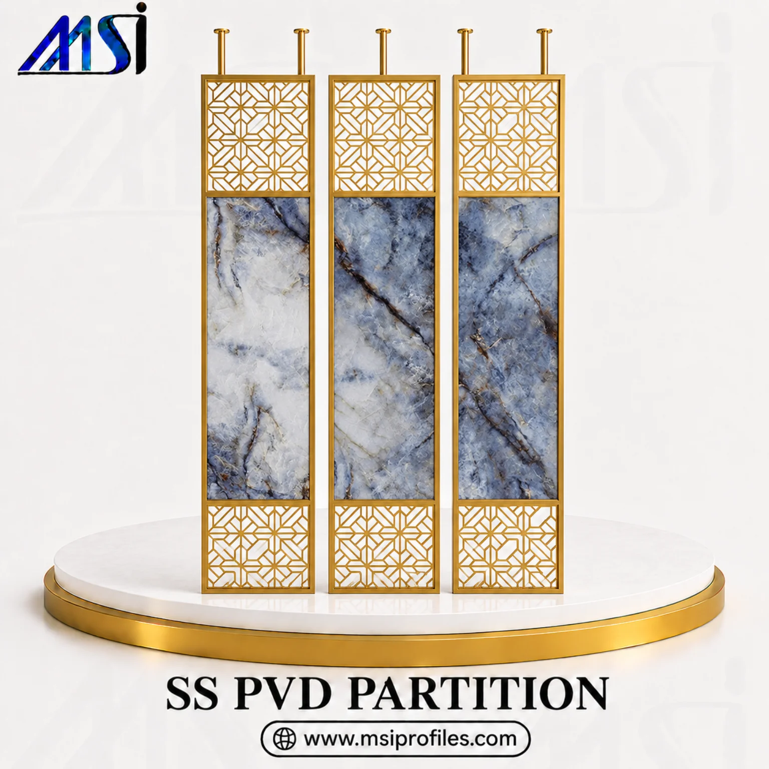 SS PVD Partition & Screen (5)